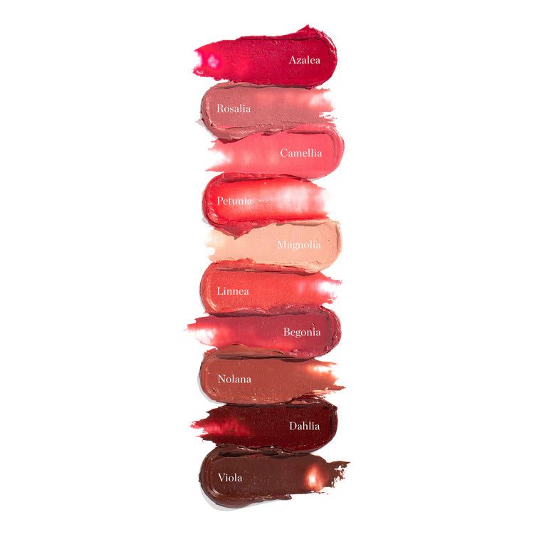 Tinted Sculpted Lip Oil - Camella